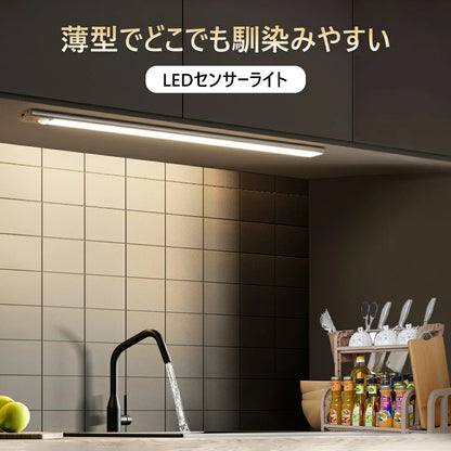 【本日終了間近！No.1獲得】Smart Jinkan Light™ 20cm 充電式